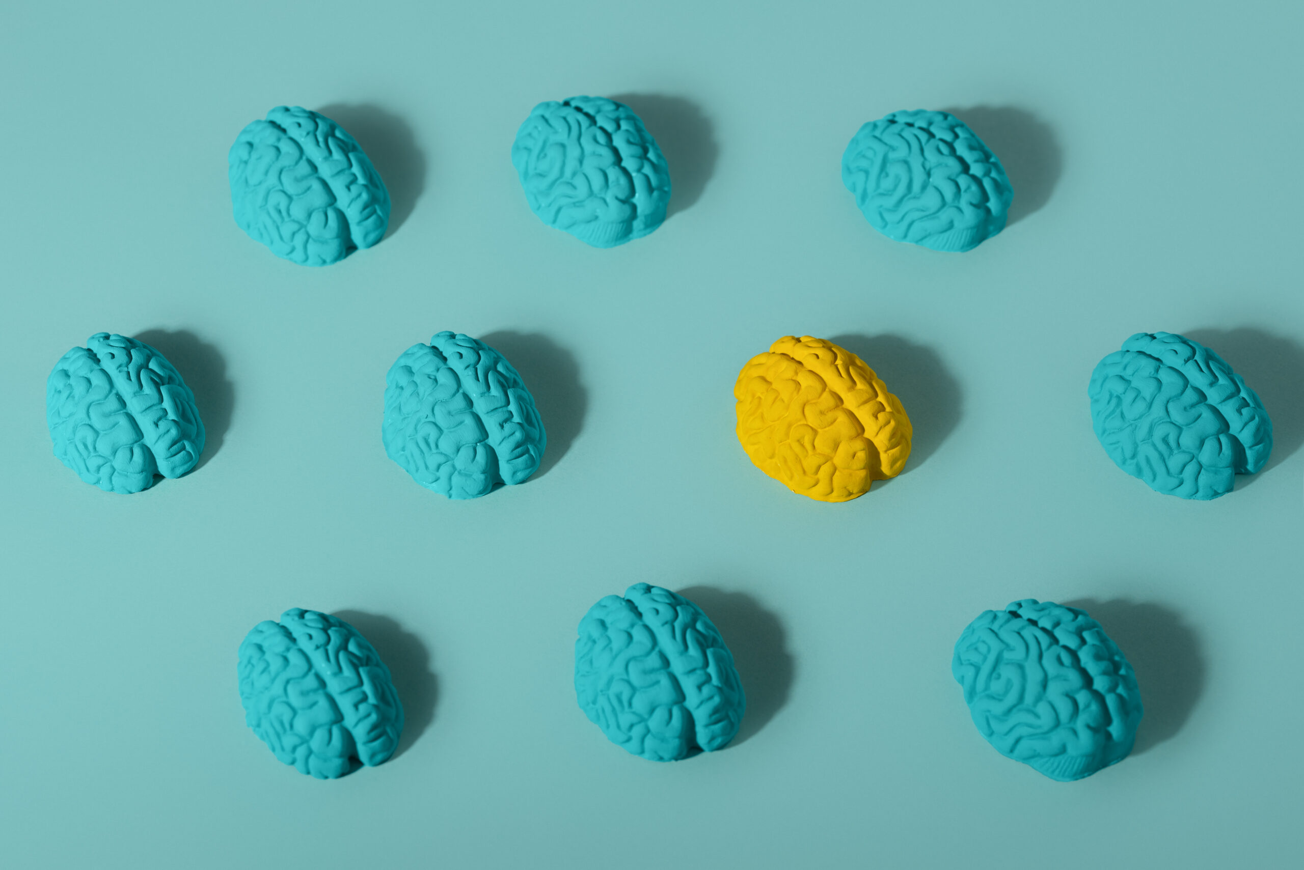 How Movement Shapes the Brain: The Overlooked Cognitive Benefits of Physical Activity